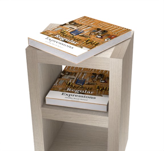 Introduction to Regular Expressions additional image